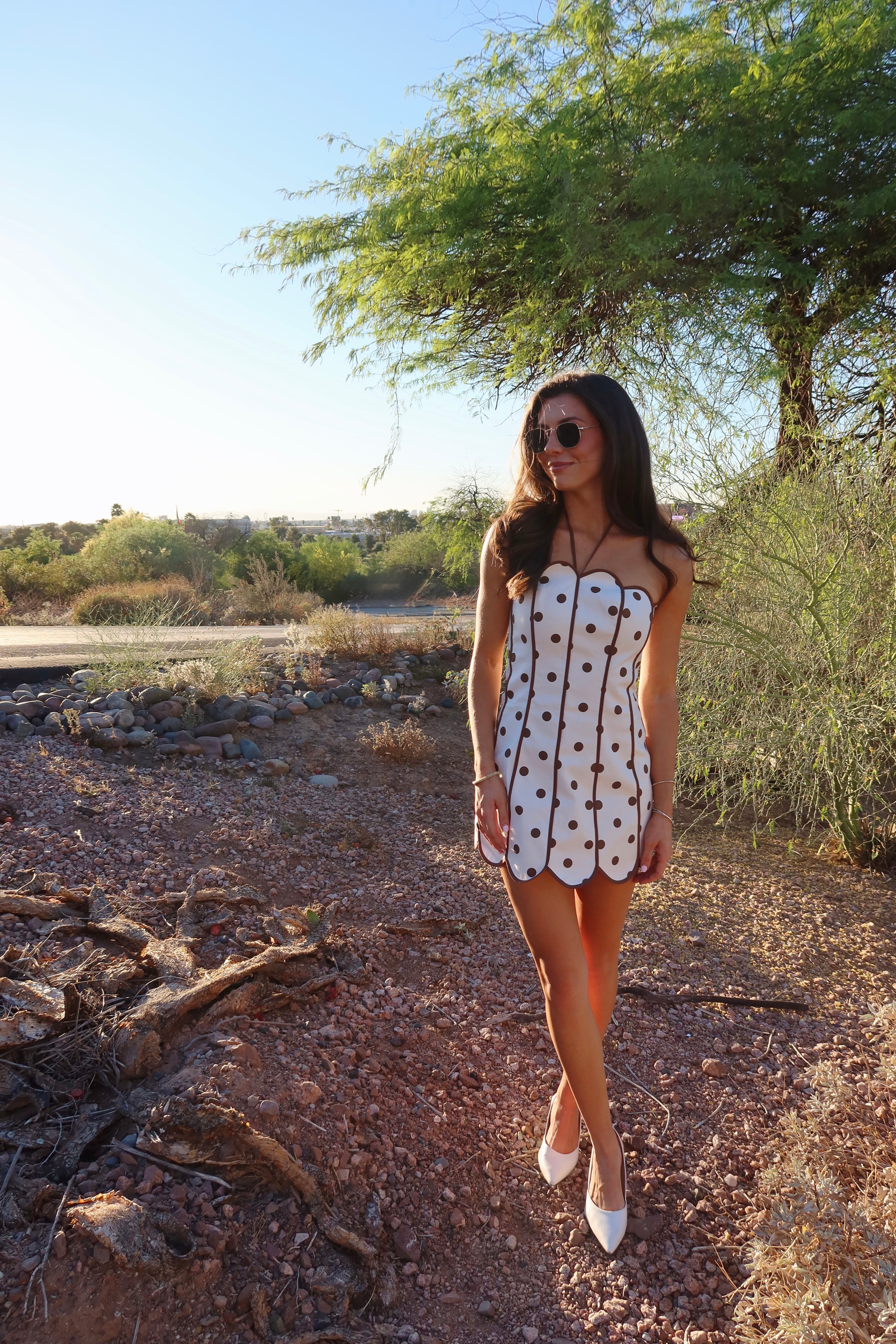 Scottsdale Dot Mini Dress- Cream/Brown