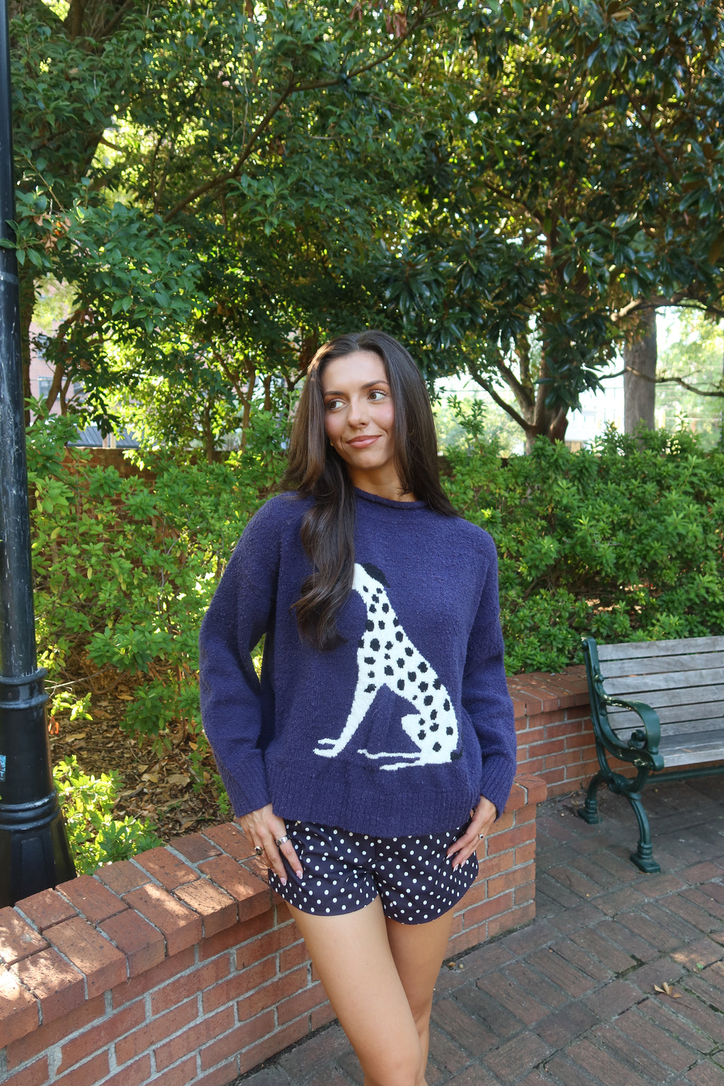 Dolly Dalmatian Sweater- Navy
