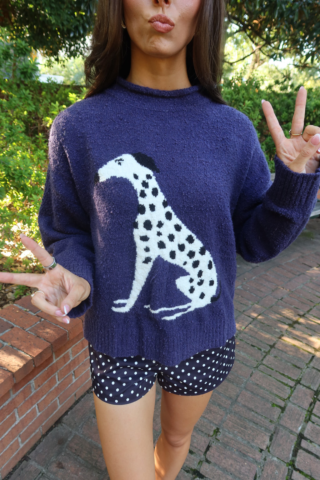 Dolly Dalmatian Sweater- Navy