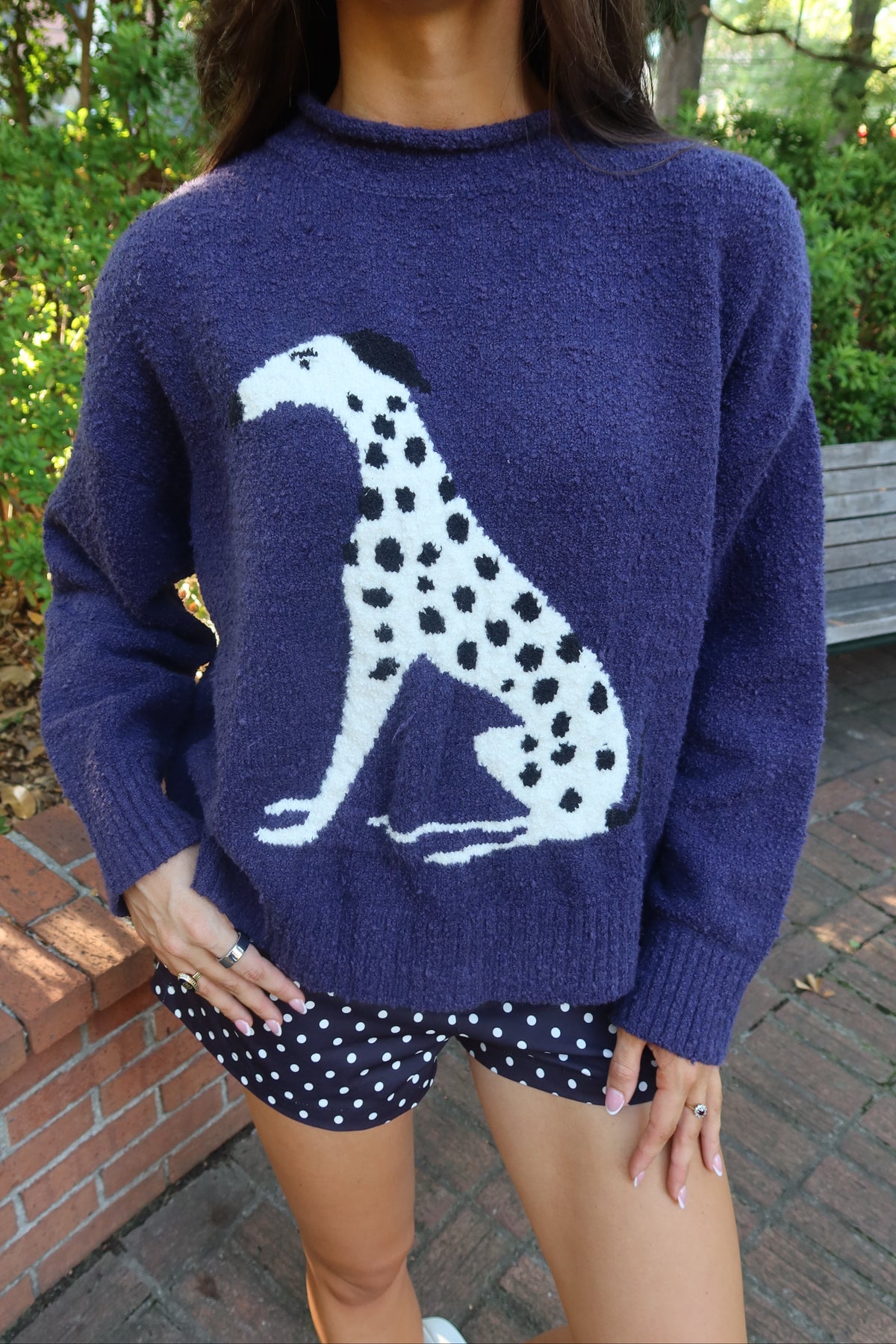 Dolly Dalmatian Sweater- Navy