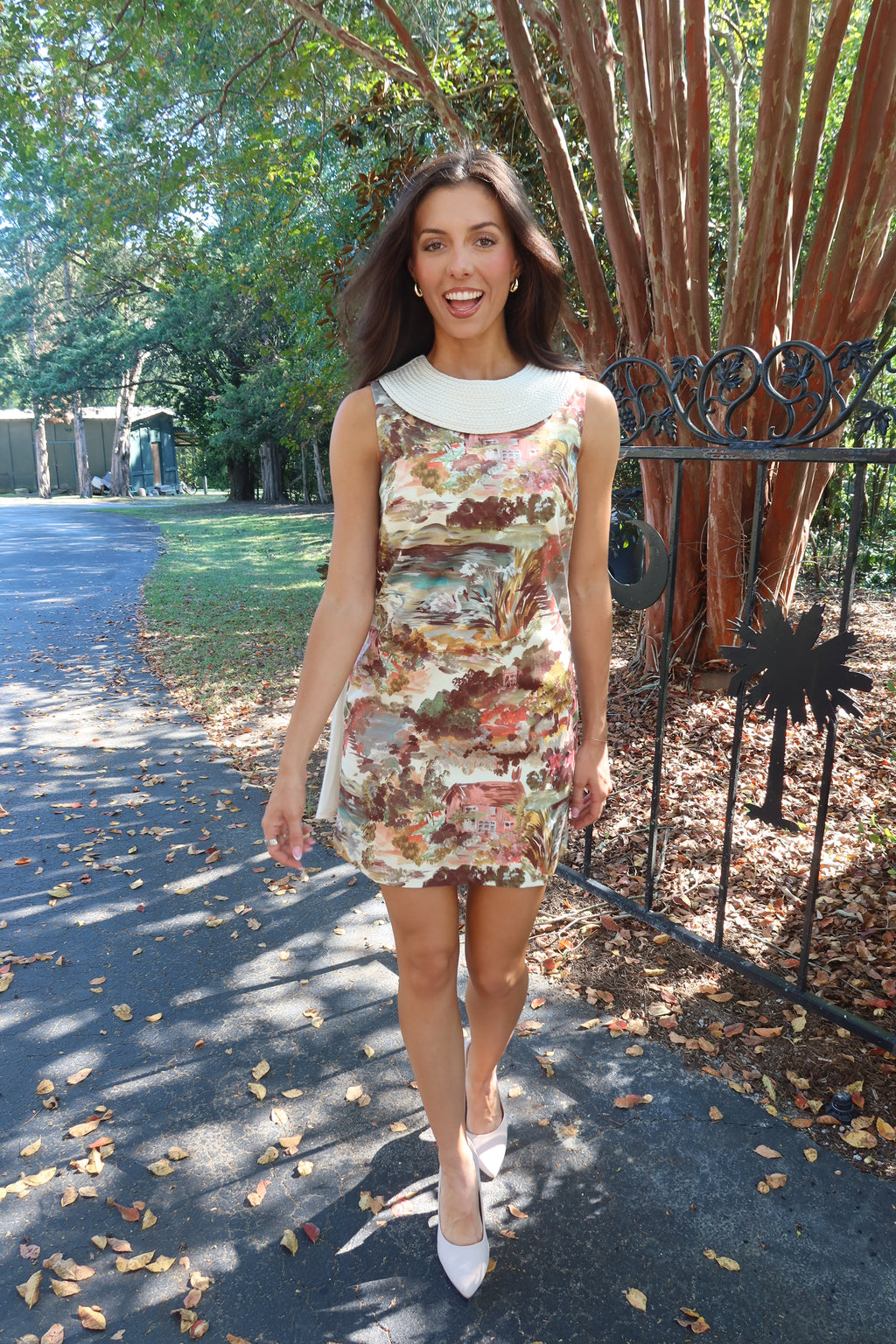 Swan Garden Mini Dress- Multi